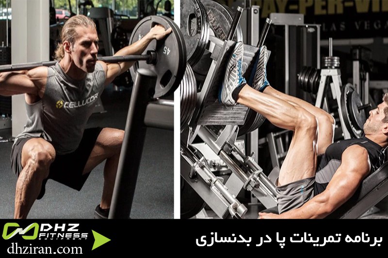 برنامه تمرینات پا در بدنسازی 